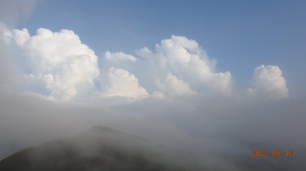 久違的觀音圈，差強人意的雲瀑1806298