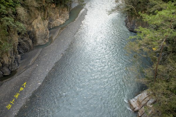 大小劍-油婆蘭全紀錄2674213