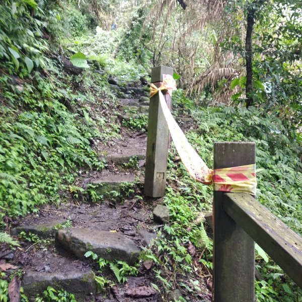 步道巡訪員 l 崁頭山步道巡訪員8月份巡禮1054209