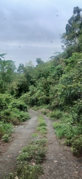 2025 4/5 加奈美山2754462