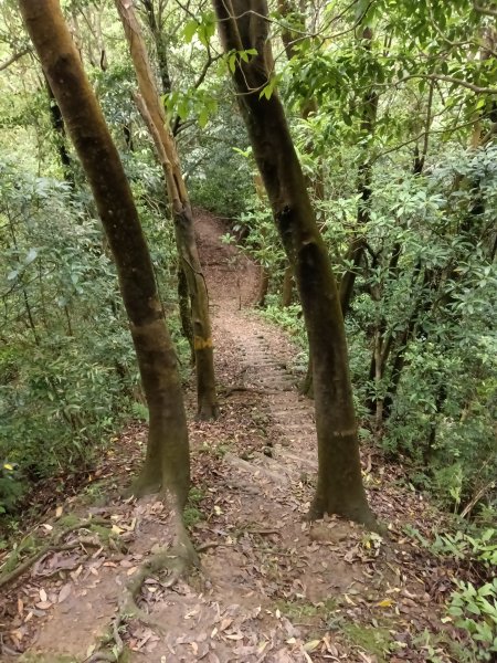 平溪區三功大厝+番子坑山+千階嶺步道O型2781160