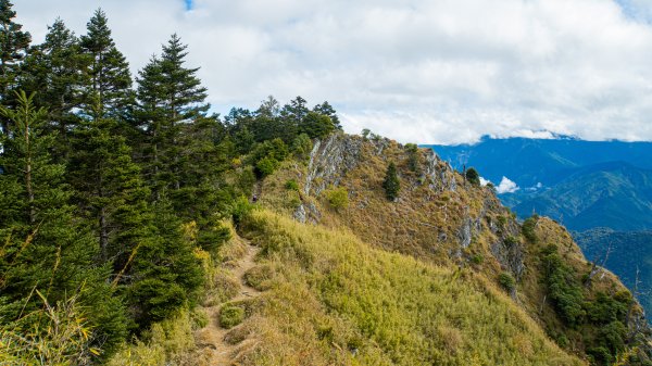 雪山東峰壯麗的山景&動植物1521800