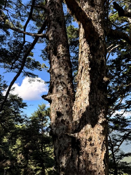 觀雲山莊經小完美谷上畢祿山O繞2917196