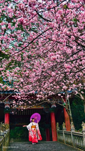 內湖碧山巖 2/182714796