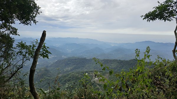 暗影山三進三出2366584