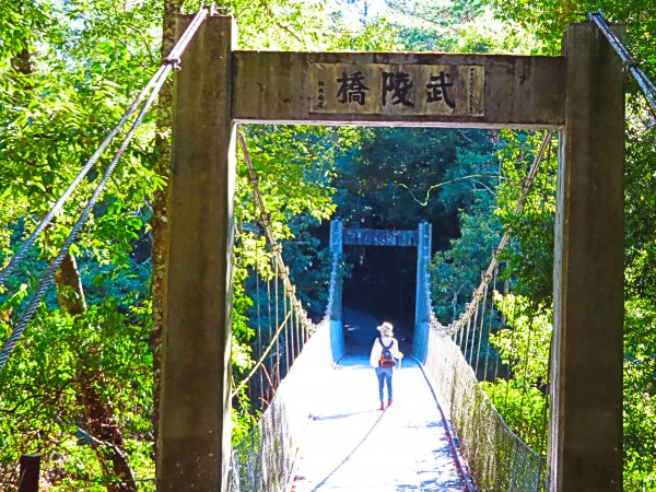 如童話般的森林步道-武陵桃山瀑布步道1190810