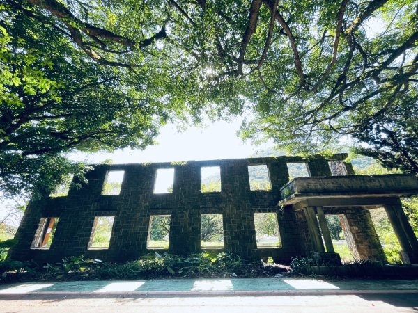20261009 菁苗步道（苗圃登山口-菁山自然中心-前山公園）3133908