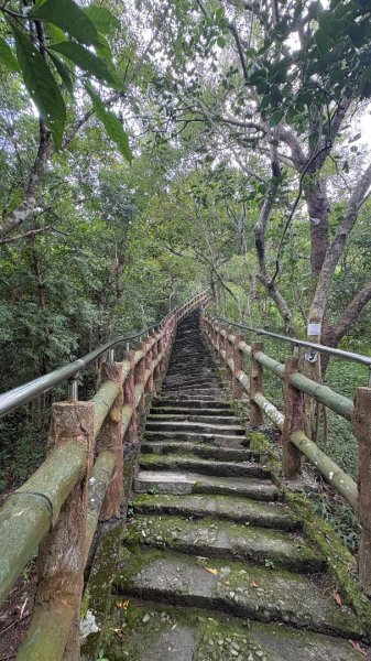 941（旗尾山2905655