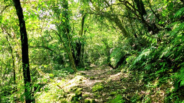 畝畝山。又上說2768163