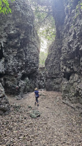 【即使簡單也要心存敬畏！】小百岳#074-大崗山、盤龍峽谷一線天O繞。