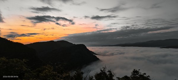 #翡翠水庫壩頂 #月亮 #日出 #雲海 #藍腹鷴母鳥 5/8&133050263