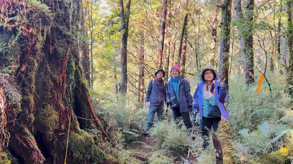 走入魔幻森林 探訪三星池與妹池2950192