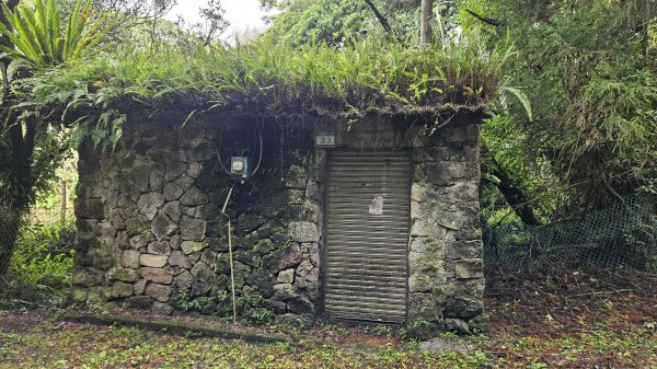 20251030頂湖-竹子湖西南峰-冷水坑(騎車爬山)2926799