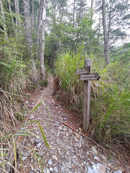 志佳陽大山登山步道2520077