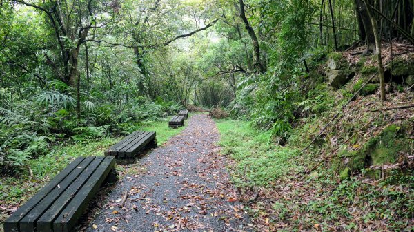 貂山古道,琉榔路觀光步道2590548