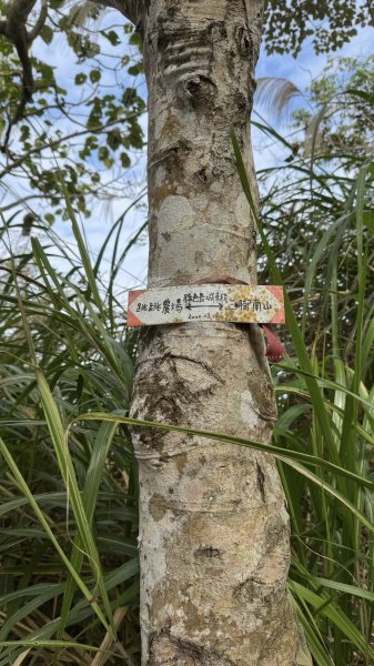 20260127小百岳三腳南山2990273