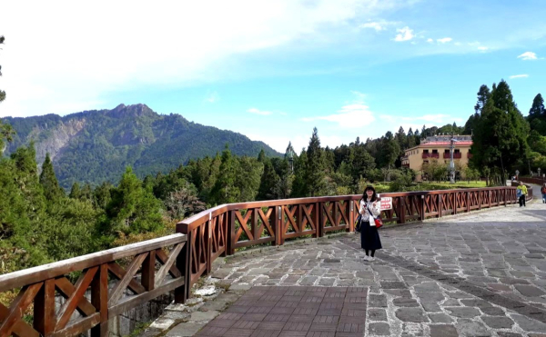 阿里山森林遊樂區，姐妹潭，香林神木，二延平步道，特富野古道，達娜伊谷，檜意森活村，太平雲梯，龜山，太興岩步道，龍王金殿，奮起湖步道，鹿鼎神木