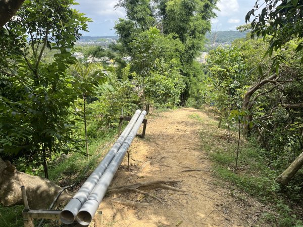 [皮皮獅探險隊-03/10] 2025_0706 犁頭山、文山步道2831472