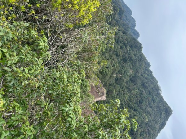 25/01/31三峽五寮尖2703463