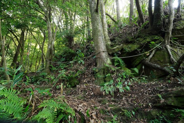 新北 新店 石碇後山、赤腳蘭山、暗寶劍山、鳥嘴尖2793494