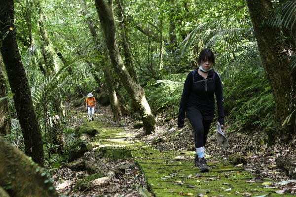 相看兩無緣：金字碑。牡丹山。貂山古道1433923