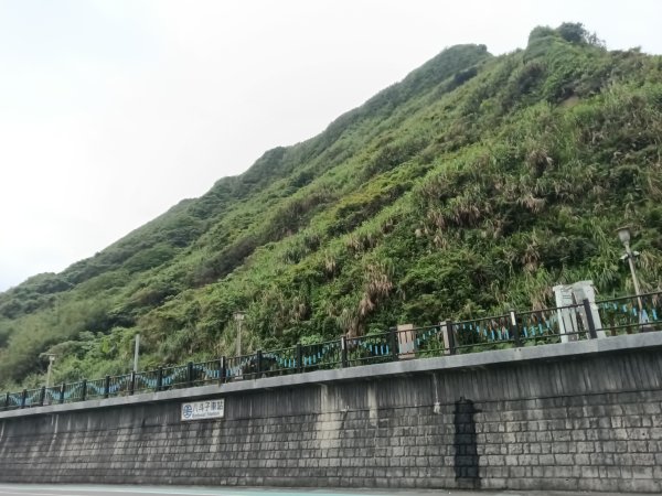 基隆市金針谷農家-深澳山O型3039993