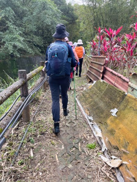 蛇來運轉-蛇子行古道-三爪坑山-蛇子崙山O2706694