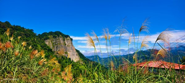 #馬那邦山 #琉璃光 #日出 #雲海 #山羌 #楓葉 10/25 & 11/12924622