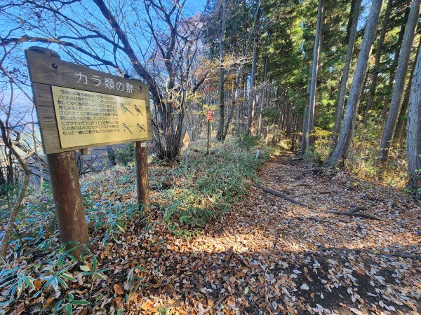 20251127陣馬山至高尾山2959077