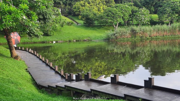 《台北》城市晨運｜南港公園後山埤公園O繞202505232795832