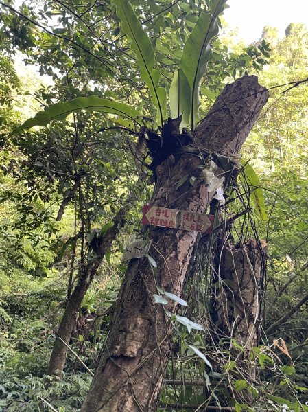 月扇湖大岩壁2952403