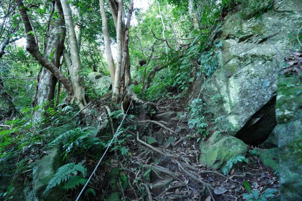 新竹 五峰 油羅山2654138