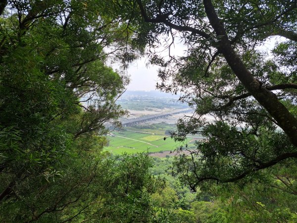 苗栗火炎山，南鞍古道O走3118390