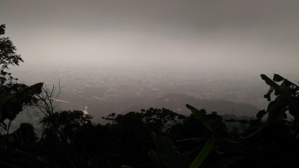 太平-咬人狗坑步道-主步道44854