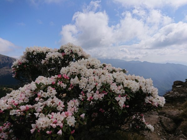 石門山+石門山北峰1727252