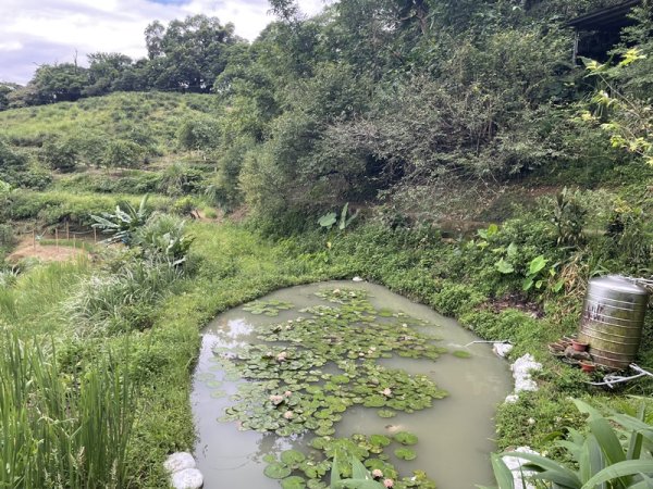 【二格山系】銀河洞越嶺2852580