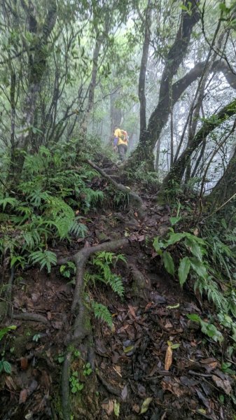 113.06.01魯壁山-東穗山之旅2529901