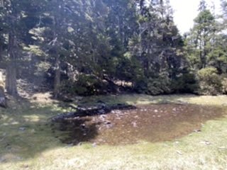 雪山西稜夢幻大景1392755