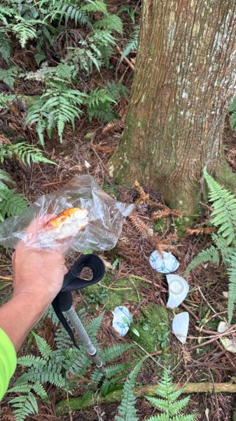 鵝黃色的優雅2960198