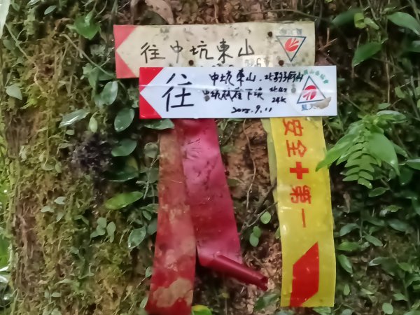 雙溪區中坑古道+大夯瀑布+中坑東山+中坑東山尾稜O型2921524