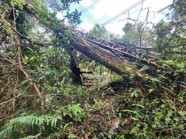 20251214石牛山柑坪山新柑坪山牛背岩2972722