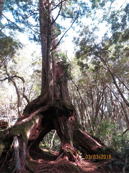 20180303 塔曼山294692