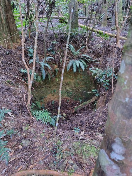 長壽山、肥崠山、醜崠山、大崠山、大崠山經建版2931550