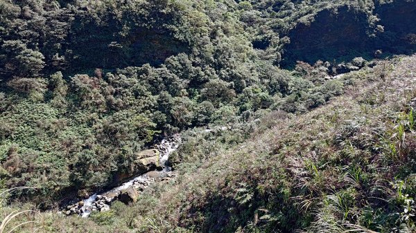 瑞芳小錐麓2714466