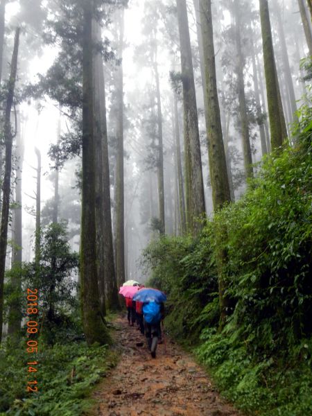 20180905奮起湖大凍山二萬坪404421