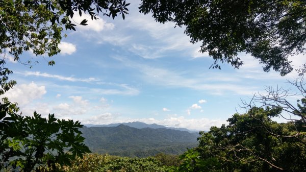 2023/7/25鳶山彩壁、鳶山、鳶山岩2231965