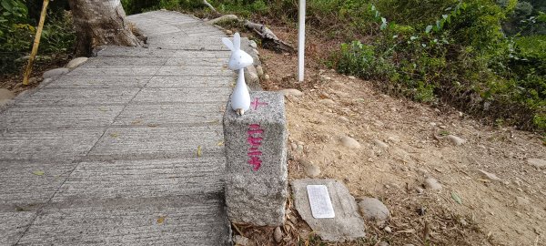2026/02/27-荷苞山登山步道3010040