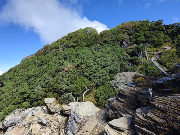 北一段(11/14)南湖北峰 2025_0906~132887345