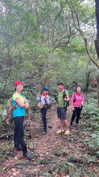 東勢大崙、東勢坑山、觀音湖山O走2986361