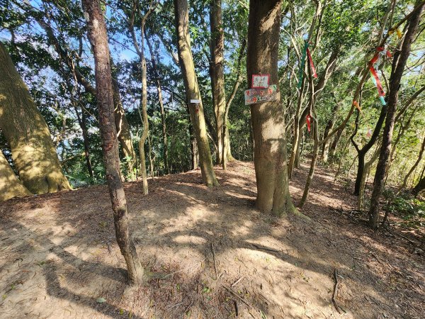 20260223柯子湖山菜堂山尖山沙湖壢山與寶山水庫基石3012622